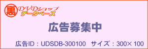 �L����W�� UDSDB-300100